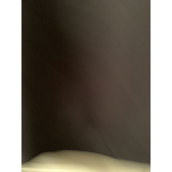 Men’s Hoodie Lincoln Magnet Elementary School Leopards Unknown Size - Picture 11 of 12